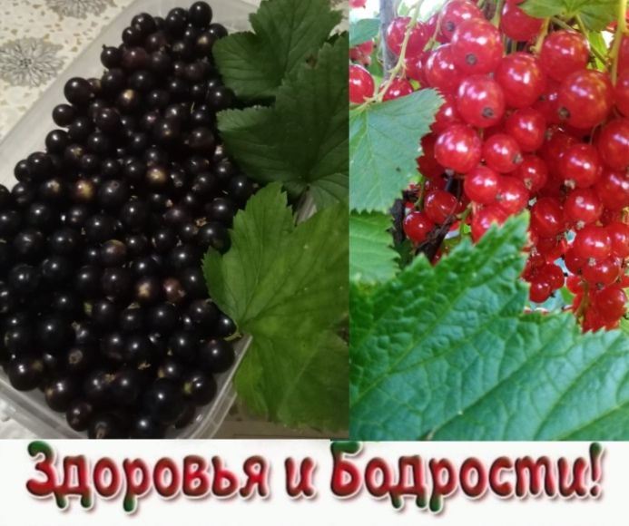 Здоровья и бдротшГ