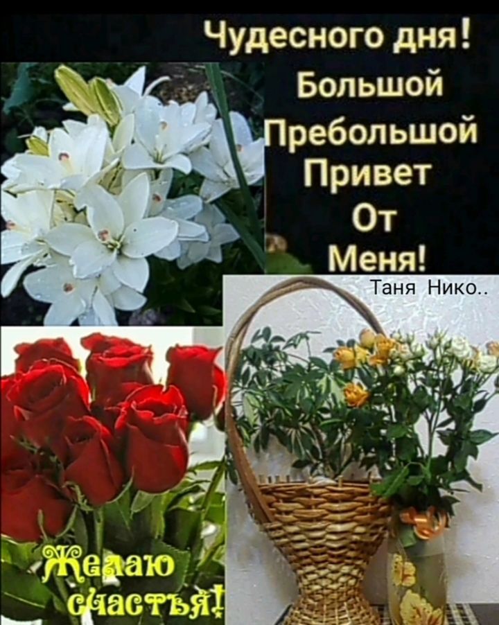 Чудесного дня Большой ребольшой Привет