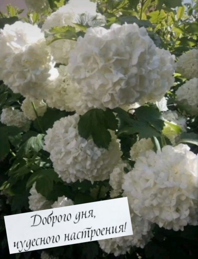'»5 1010 4к я о нас!! Иудесне