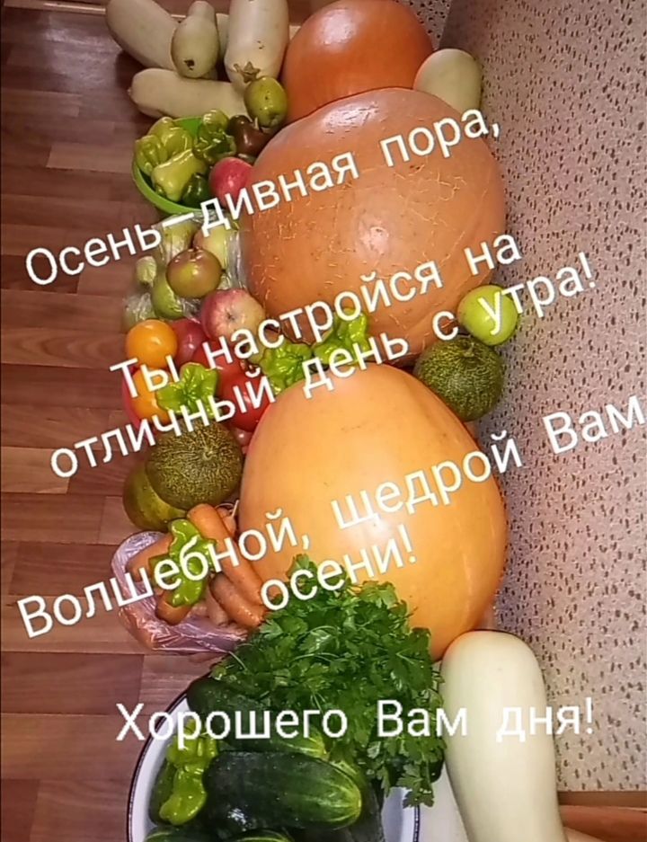 ? : шего дёа';  эй