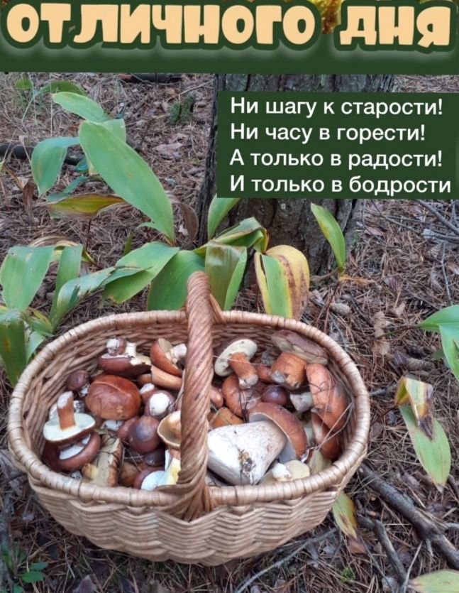 ОТЛИЧНОГО Тд Ни шагу к старости Ни часу в горести А только в радости И только в бодрости