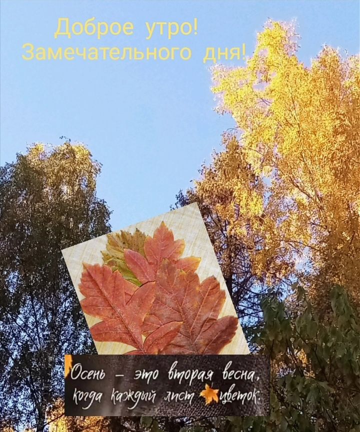 _ эт тра от Мут 7 йтЁтг _