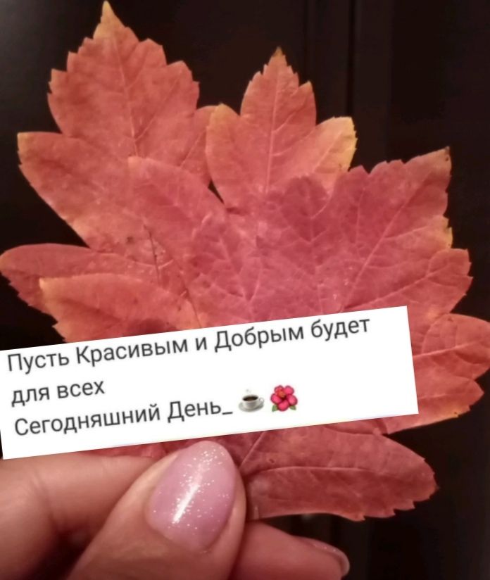 а _ вым и добрым бУ дет