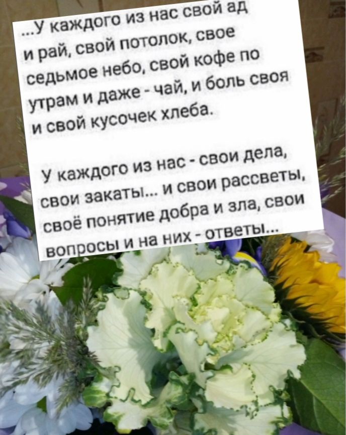 Нас свой ад  у каждого з и рай, свой потолок, свое седьмое небо, свой кофе по утрам и даже цай, и боль своя и свой кусочек хлеба. Из нас  свои делёа,  и свои рассветы. Добра и 3л, свой х  ответы. У каждого свои закать! Своё понятие вопр ось и на ни: й
