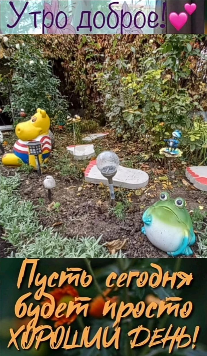 ИСИШЗ се Ы Й 141667 ШГЫ рд