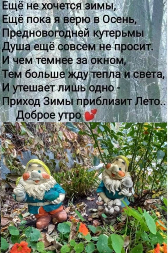 Ещё не хочется зимы _ Ещё пока я рерю в Осень Предновогодней кутерьмы ЁЁУШЗ ещё совсем не проеЙіі чем темнее за окно большеЫдучепл _ Утешает лишь риход Зимы п