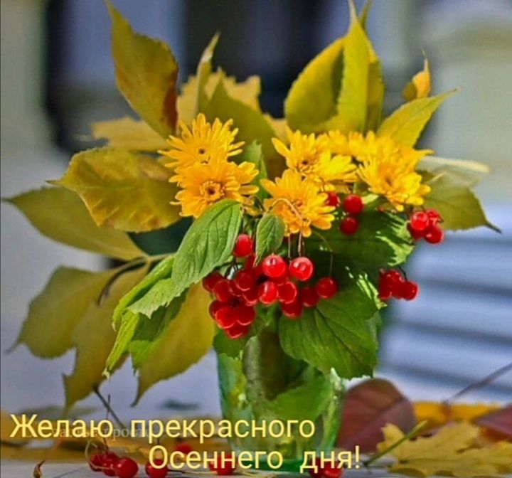 ЁПСНОГО ц дни _ _