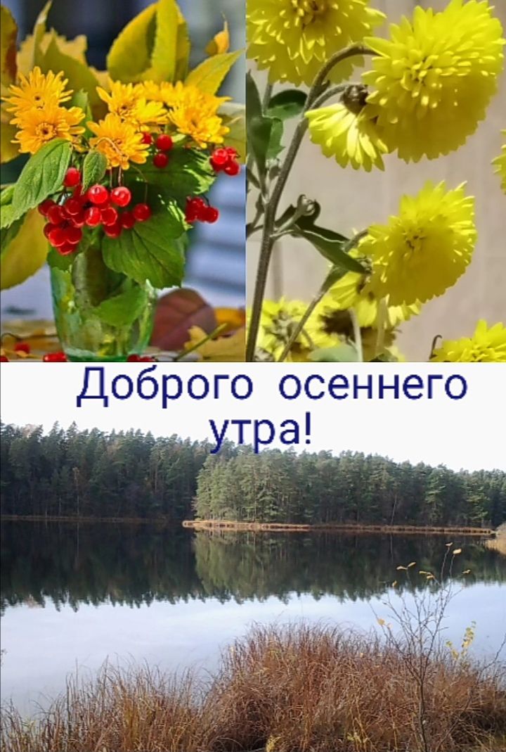 Доброго осеннего тра!