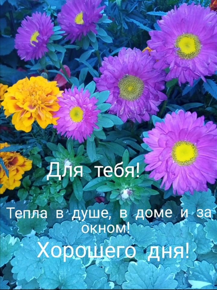 Тепла в душе в доме Ош юм Хоряыдёгвддняі
