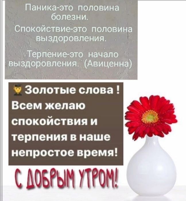 Паника это половина болезни Спокойствие это половина выздоровления _ Терпёние это нацело Ё Выздоровления Авиценнф Золотые слова Всем желаю спокойствия и терпения в наше непростое время