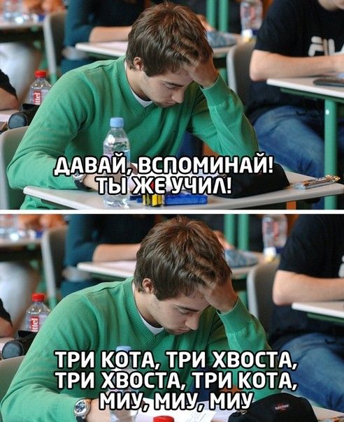 ТРИ ТРИ ХВОСТА ТРИ ОСТА ТРИ КОТА МИУ МИУ МИУ