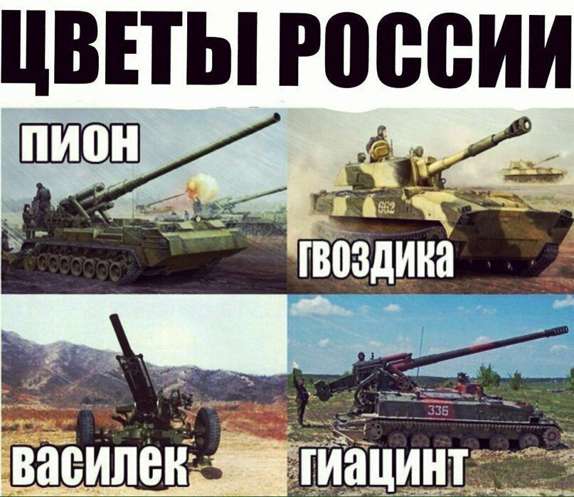 ЦВЕТЫ россии