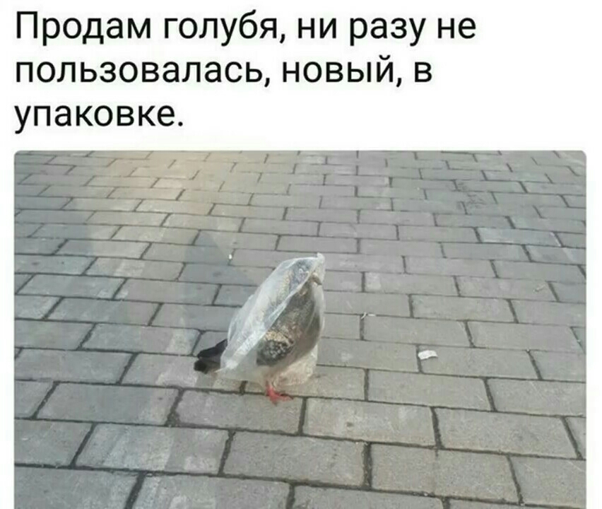 Продам голубя ни разу не пользовалась новый в упаковке