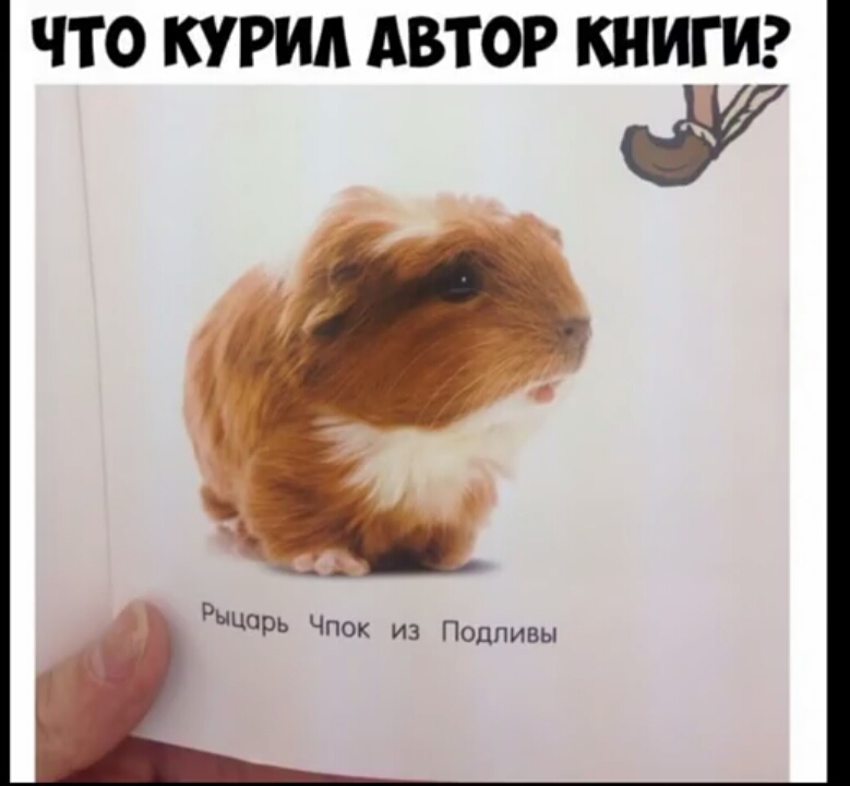 ЧТО КУРИА АВТОР КНИГИ