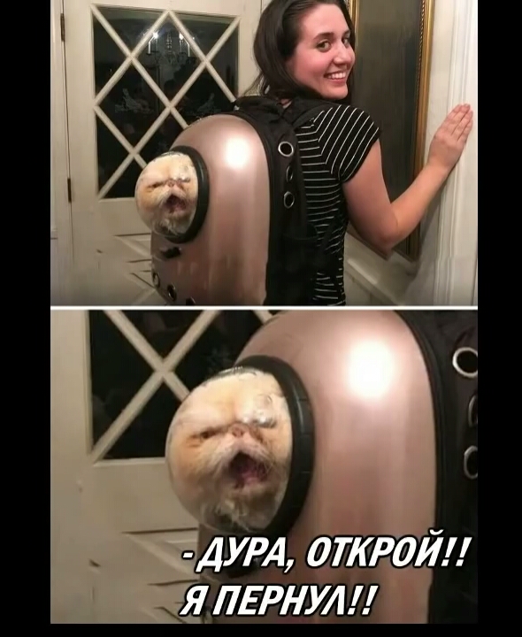 дут атм71 длитут