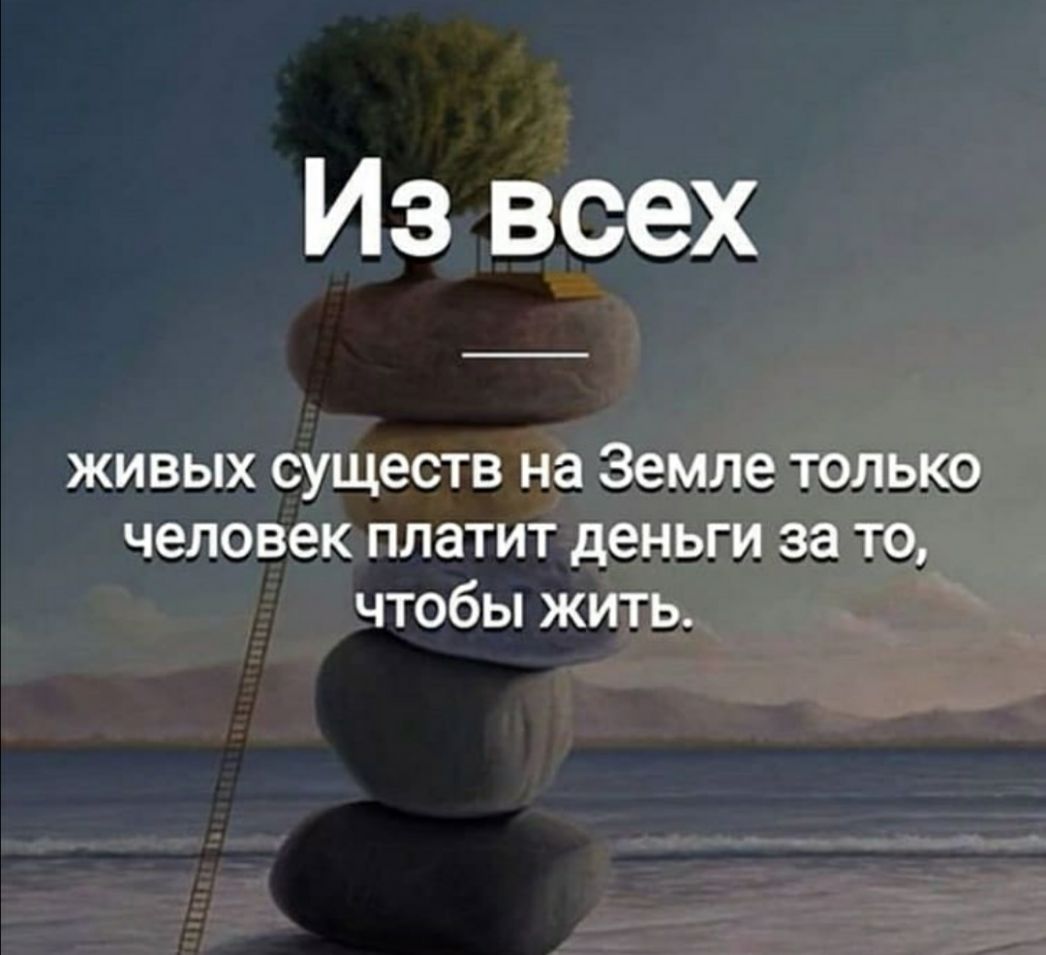 Из всех живых существ на Земле только человек платит деньги за то чтобы жить