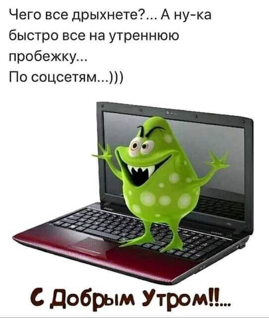 Чего все дрыхнете А ну ка быстро все на утреннюю пробежку По соцсетям С Добрым Утром