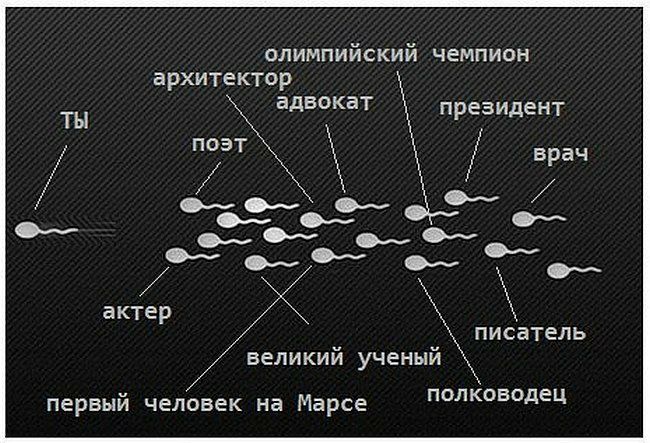 олимпийский чемпион архитектор адВКаТ президент ОЭТ 1 пиёатель великий ученый первый человек на Марсе КВдец