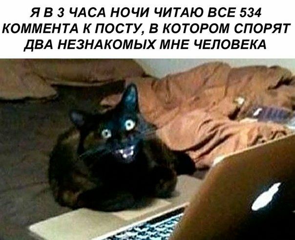 Я В 3 ЧАСА НОЧИ ЧИТАЮ ВСЕ 534 КОММЕНТА К ПОСТУ В КОТОРОМ СПОРЯТ ДВА НЕЗНАКОМЫХ МНЕ ЧЕЛОВЕКА