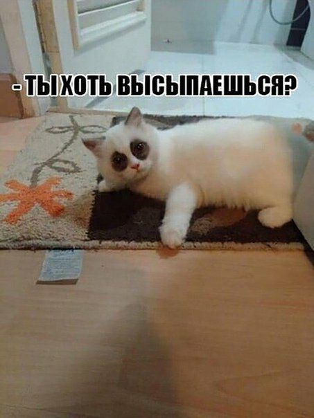ЗТЬ ХЩЬ ВЬЮЫПАЕШЬВН