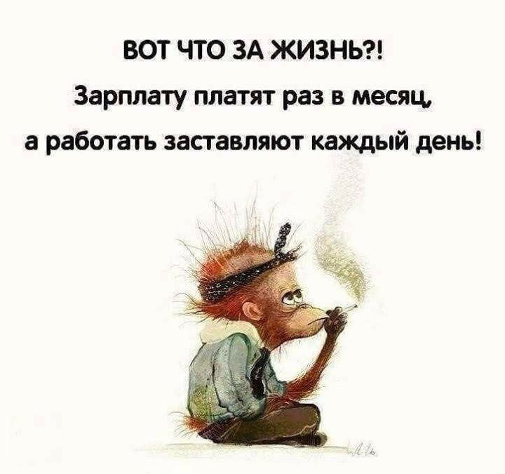 ВОТ ЧТО ЗА ЖИЗНЬ Зарплату платят раз в месяц а работать заставляют каждый день