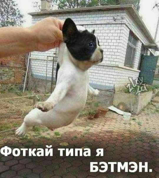 й типа я БЭТМЭН Фотка