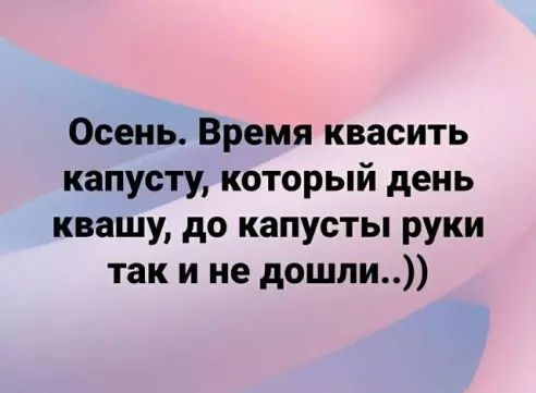 Осень Время квасить капусту который день квашу до капусты руки так и не дошли