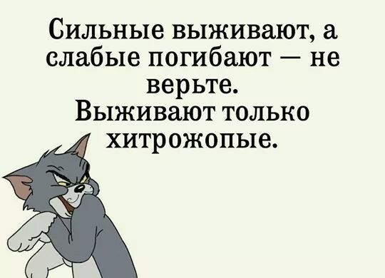 Сильные выживают а слабые погибают не верьте Выживают только хитрожопые