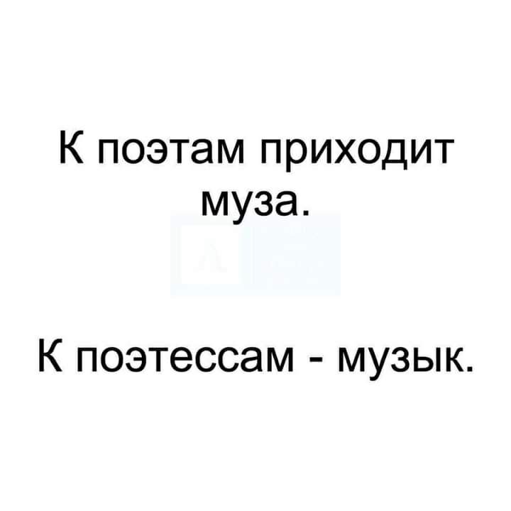К поэтам приходит муза К поэтессам музык