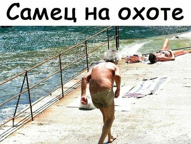 СаЦеЦ На охоте