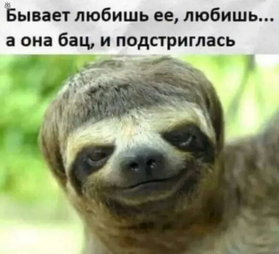 Бывает любишь ее любишь а она бац и подстриглась
