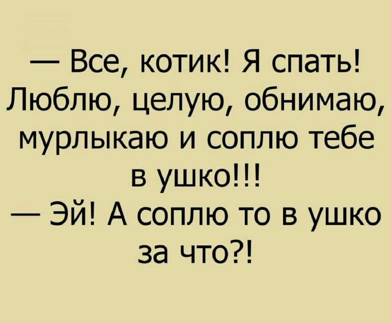 Все котик Я спать Люблю целую обнимаю мурлыкаю и соплю тебе в ушко Эй А соплю то в ушко за что