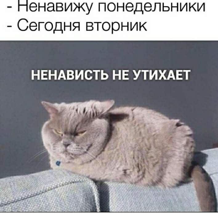 енавижу понедельники Сегодня вторник НЕНАВИСТЬ НЕ УТИХАЕТ Ч_ Ё