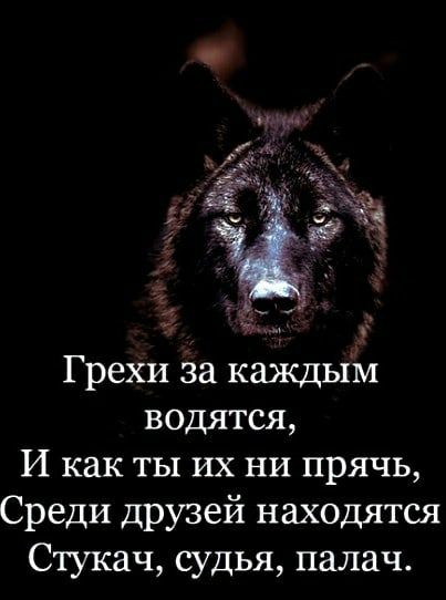 Грехи за каждым водятся И как ты их ни прячь Среди друзей находятся Стукач судья палач