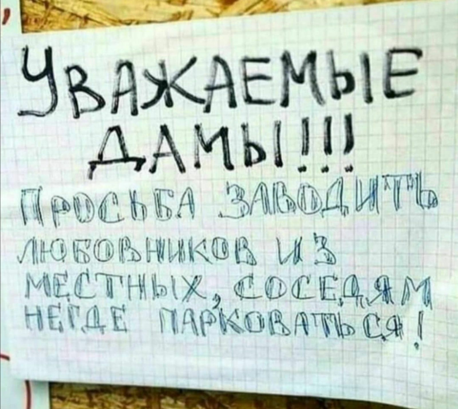 ЗЫЖАЕМЫЕ ДАМЫ ЁШп аъ И МЕ ТЫЫХ ажщя ЫЕЩЕ ЦЬ О Ь