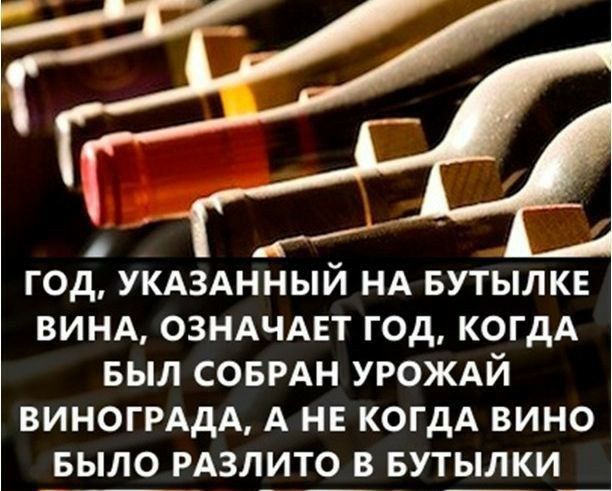 год УКАЗАННЫЙ НА вутылкв ВИНА ОЗНАЧАЕТ год когдА выл СОБРАН УРОЖАЙ ВИНОГРАДА А не когдА вино _выло РАЗЛИТШЗ БУТЫЛКИ