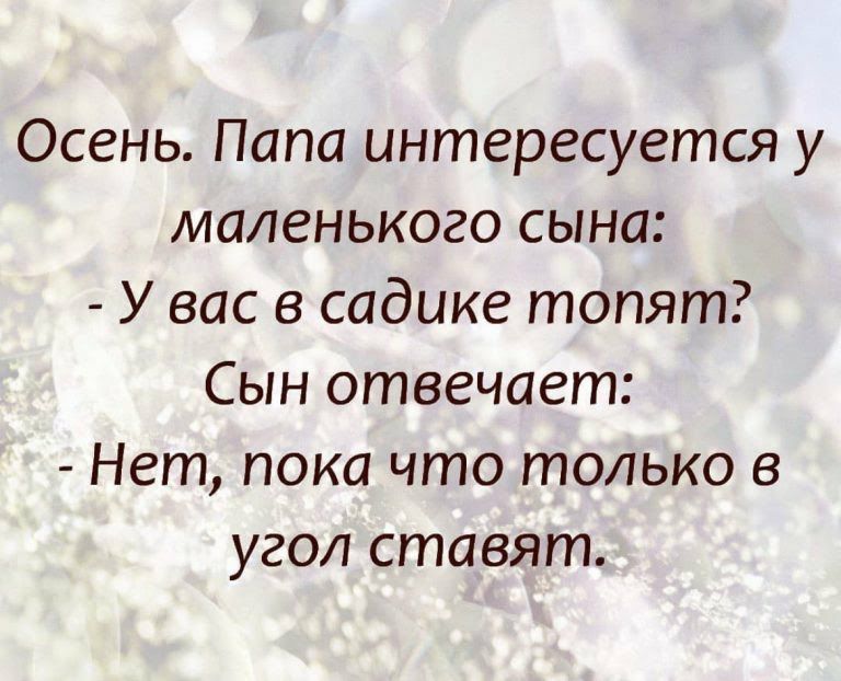 Осень Папа интересуется у маленького сына У вас в садике топят Сын отвечает Нет пока что только в угол ставят