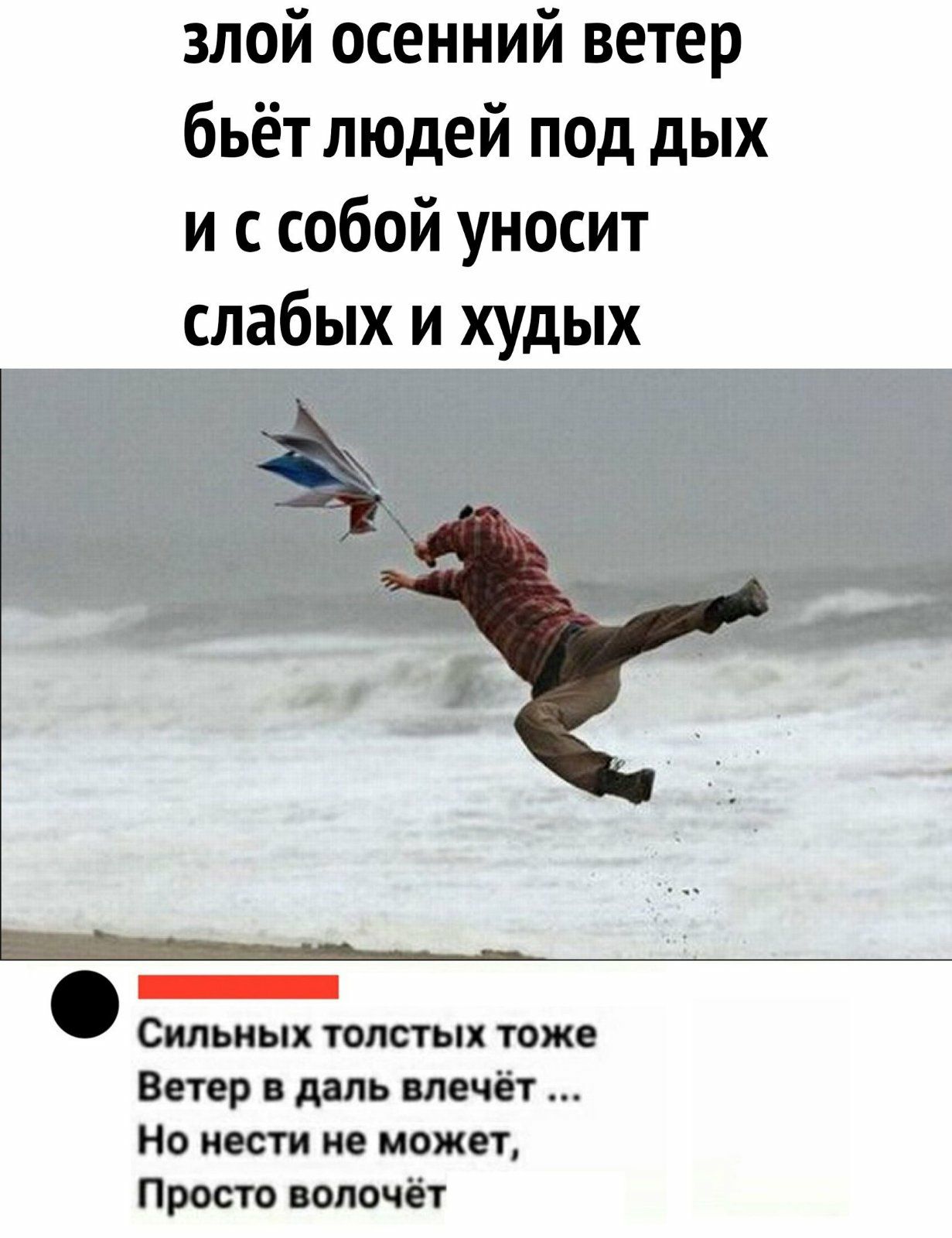 злой осенний ветер бьёт людей под дых и с собой уносит слабых и худых Сильных толстых тоже Ветер в даль влечёт Но нести не может Просто волочёт