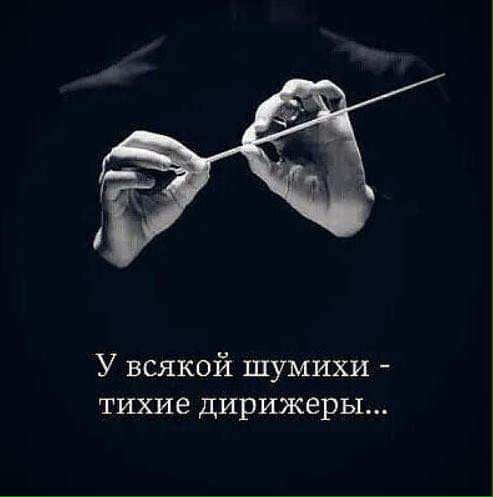 У всякой шумихи тихие дирижеры