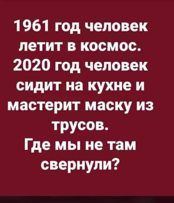 1961 год человек летит в космос 2020 год человек сидит на кухне и мастерит маску из трусов Где мы не там свернули