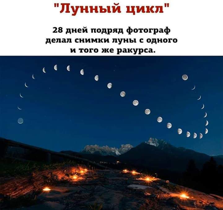 Лунный цикл 28 дней подряд фотограф делал снимки луны одного и того же ракурса 6 О 0 к С 1 О 33 и в А