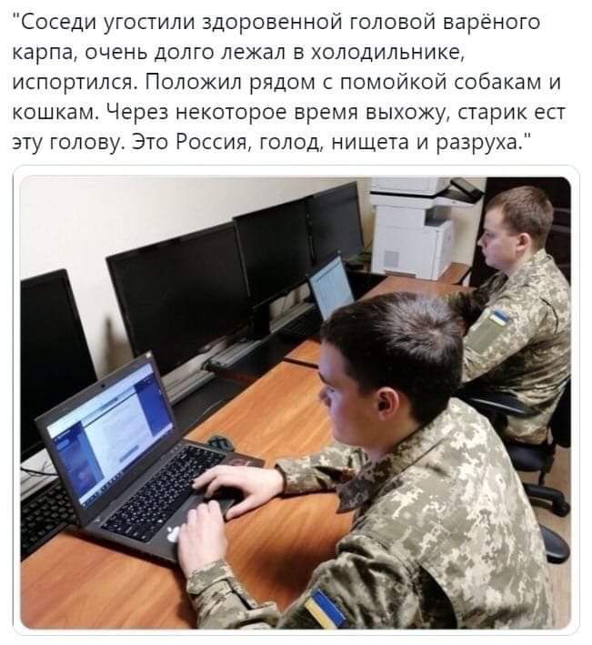 Соседи угостили здоровенной головой варёного карпа очень долго лежал в холодильнике испортился Положил рядом с помойкой собакам и кошкам Через некоторое время выхожу старик ест эту головуг Это Россия голод нищета и разруха