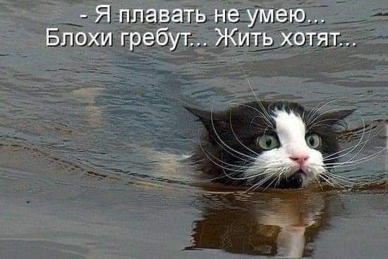 Я пддватьнаУМЫЪТ Блоха ФЁЁУЁЖИЁЬХЩГЯЪ