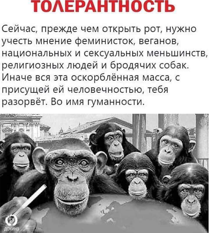 Сейчас прежде чем открыть рот нужно учесть мнение феминисток веганов национальных и сексуальных меньшинств религиозных людей и бродячих собак Иначе вся эта оскорблённая масса с присущей ей человечностью тебя разорвёт Во имя гуманности