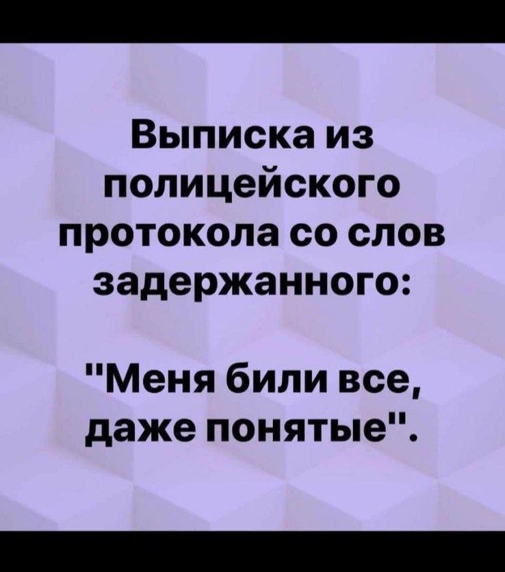Выписка из полицейского протокола со слов задержанного Меня били все даже понятые