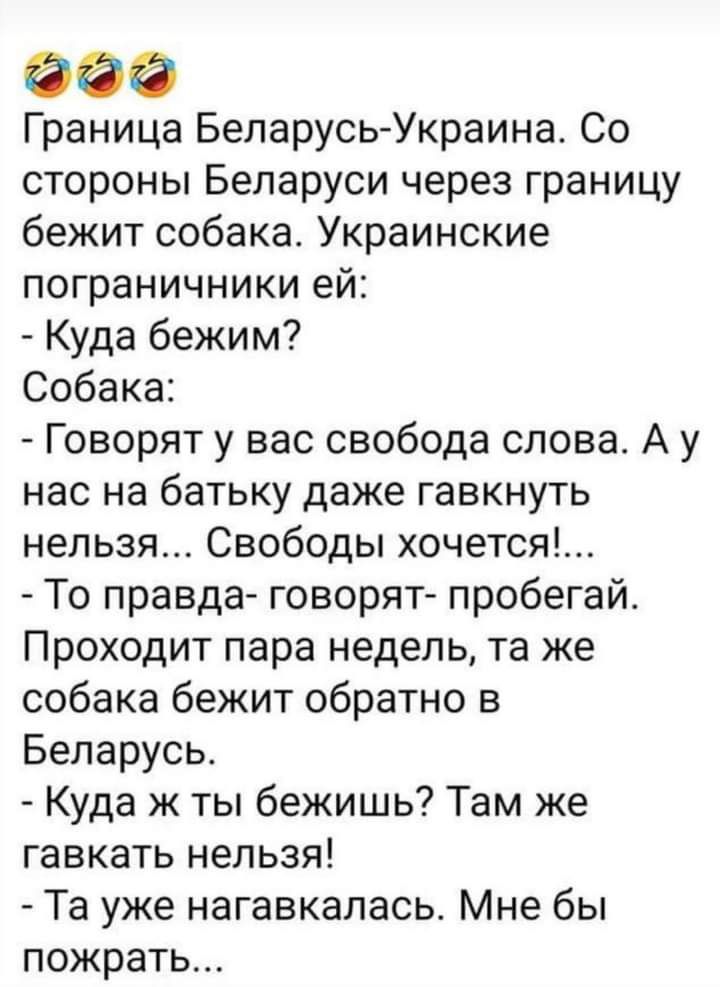 Граница Беларусь Украина Со стороны Беларуси через границу бежит собака Украинские пограничники ей Куда бежим Собака Говорят у вас свобода слова А у нас на батьку даже гавкнуть нельзя Свободы хочется То правда говорят пробегай Проходит пара недель та же собака бежит обратно в Беларусь Куда ж ты бежишь Там же гавкать нельзя Та уже нагавкалась Мне бы пожрать