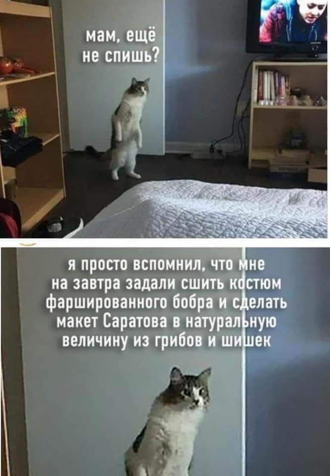 я просто вспом на завтра задалиош фаршированного бо макет Саратоііііі величину и грипп и