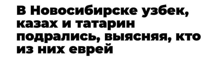 в Новосибирске узбек казах и татарин подрались выясняя кто из них еврей