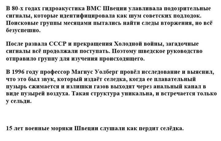 В 801 годах гидроокугтика ВМС Швеции улавливали иодотрнтельпые сигналы которые идеитнфниировила как шум советских подлодок Поисковые группы месяцами пытались найти следы вторжении но все бедусиешно После развала СССР и прекращении Холодной войны лягадочиые сигналы всё продолжали поступать Поэтому шведское руководство отправило группу для изучения происходящего В 1996 году профессор Магнус Уолберг 