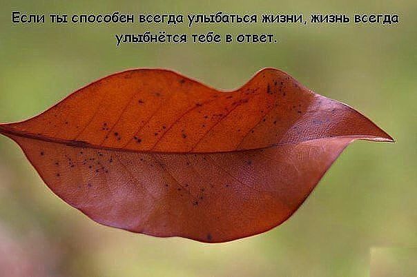 Ёолй тЁ пёіббЕн в а Улыбйтьёя жйзнижизньвбёгда